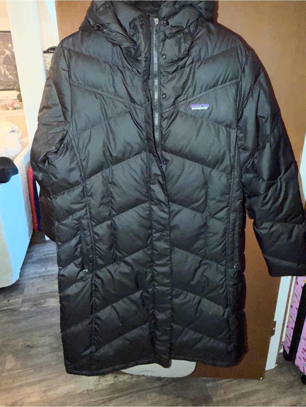 Patagonia Down with it Parka XL